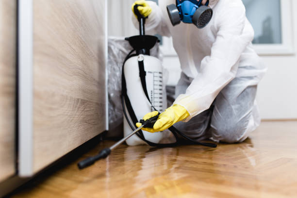 Best Best Pest Control Companies  in Hartley, CA
