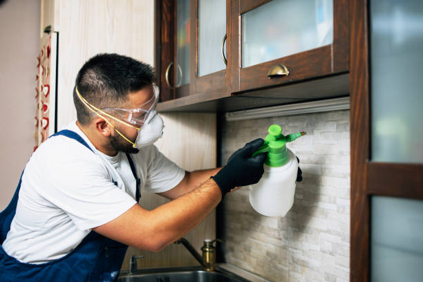 Best Cockroach Control Services  in Hartley, CA