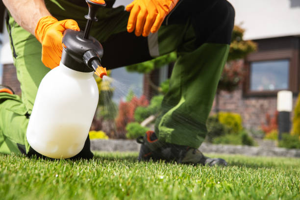 Best Pest Control Near Me  in Hartley, CA