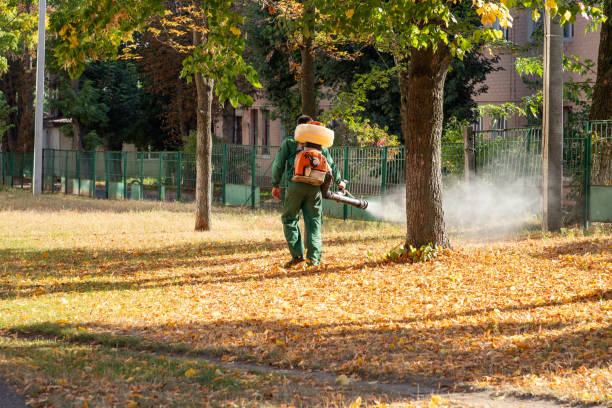 Best Pest Inspection Near Me  in Hartley, CA