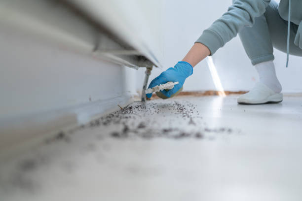 Best Ant Control Services  in Hartley, CA